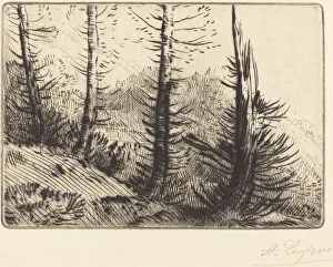 Im Pyrenäen (Dans les Pyrenees). Ersteller : Alphonse Legros