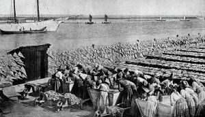 Mengen an Kabeljau trocknen im Sonnenschein bei Aveiro am Mund des Vouga, Portugal 1930er Jahre. Künstler: A.W. Cutter