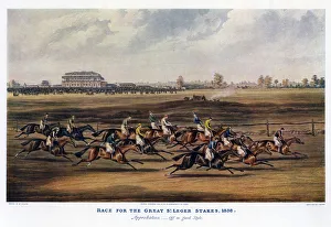 South Yorkshire Drucke: Rennen um den Großen Leger-Stakes, 1836. Künstler: Harris