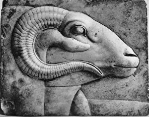 Drucke von Ein Ramskopf aus Ägypten; Kairo; Österreichisches Jahrhundert. Gipsmodell. Im Bestand des Metropolitan Museum in New York zu finden Bilder Datiert 2008 August: Ein Rammkopf aus Ägypten, 1936