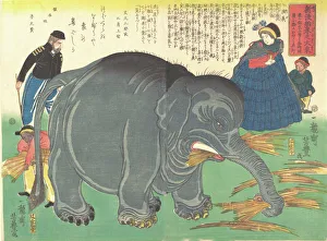 Einige Jahre nach der Importation des großen Elefanten, 1863 (dritter Monat), Künstler: Ichiryusai Yoshitoyo