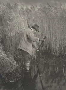 Ein Schafschneider am Arbeitstisch 1886 von P.H.E., T.F.G