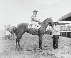 Horseback Riding In America Drucke: Roamer - Taggart up, between c1910 and c1915. Creator: Bain News Service