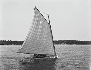 Black And White Sailing Boats Drucke: Rocket, between 1880 and 1899. Creator: Unknown