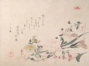 Rose, Iris und Primrose sowie Daisy aus dem Jahr 1815 von Kubo Shunman