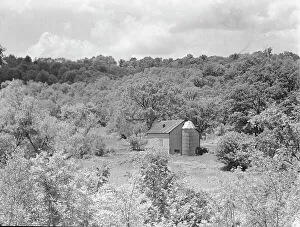 Black And White Farm Scenes Drucke: Rothbart, Albert, Mr. grounds, between 1920 and 1935. Creator: Arnold Genthe