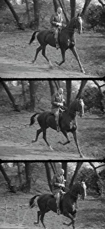 Horseback Riders USA Drucke: Rothbart, Albert, Mr. on horseback, between 1920 and 1935. Creator: Arnold Genthe