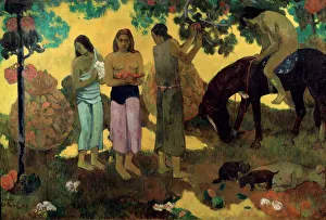 Drucke von Rupe Rupe (Früchte Sammeln), 1899. Im Bestand des Staates der Russischen Sozialistischen Federativen Sowjetrepublik Moskau Impressionistische Gemälde Drucke: Rupe Rupe (Früchtengewinnung), 1899. Künstler: Paul Gauguin
