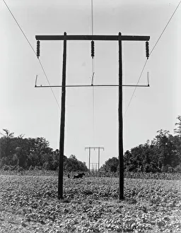 Black And White Farm Scenes Drucke: Rural electrification in Pulaski County, Arkansas, 1938. Creator: Dorothea Lange