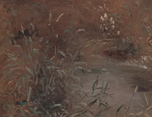 John Constable Oil Paintings Drucke: Rushes by a pool, ca. 1821. Creator: John Constable