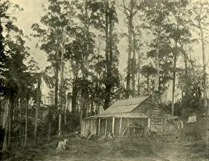 Federated Australia History Drucke: A Rustic Dwelling, 1901. Creator: Unknown