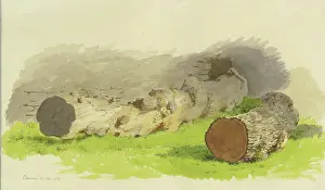 Romantic Era Paintings Drucke: Sawed-off tree trunks in front of a wall in Oberwesel