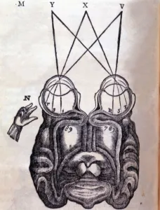 Brain Anatomy Diagram Drucke: Schematic drawing on the functioning of the brain and human ocular system, engraving