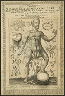 Zweite Sehnsucht aus den Spiegeln des Mikrokosmos, 1613. Schöpfer: Lucas Kilian