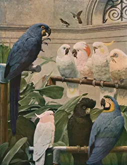 Ein Ausschuss für die Auswahl, 1891, (c1930). Ersteller: Henry Stacy Marks.