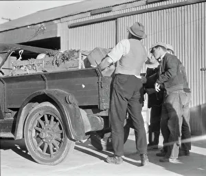 Selbsthilfe-Kooperative, Burbank (Kalifornien), 1936. Schöpferin: Dorothea Lange