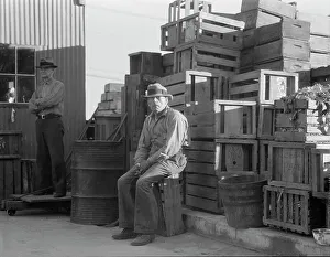 California Agriculture Drucke: Self-help cooperative, Burbank, California, 1936. Creator: Dorothea Lange