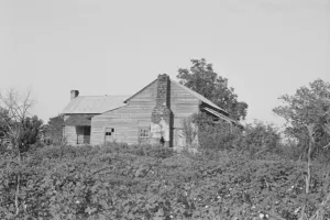 Ein Bauernhofbesitzer seines Gebäudes und Felder in Hale County, Alabama (um 1936). Künstler: Walker Evans