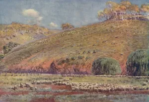 Oceania Geographical Features Drucke: A Sheep-Run, 1923. Creator: Unknown