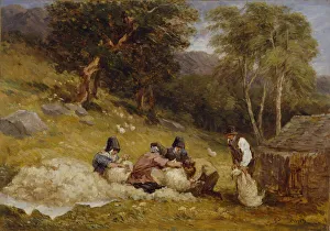 Schafschur, 1849 von David Cox der Ältere