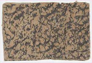 Historical Woodcuts Drucke: Sheet with overall splotchy pattern, 19th century. Creator: Anon