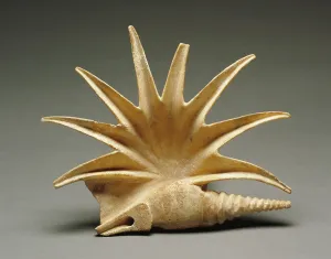 4th Century BC Greece Drucke: Shell, 400-325 BC. Creator: Unknown