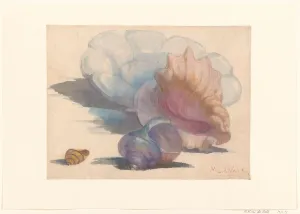 Seashell Still Life Drucke: Three shells with a Delft folding dish, 1867-1935. Creator: Maurits Willem van der Valk