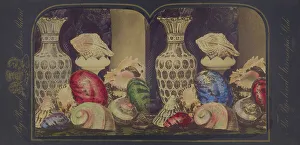 Aquatic Life In Art Drucke: Shells and vases, about 1865. Creator: Unknown