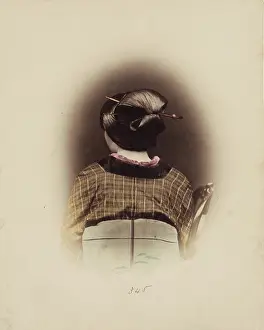 Albumen Print Photography Drucke: The Shimada Style, c1885. Creator: Unknown