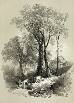 Black And White Artwork Britain Drucke: Shipley Bridge, Devon, from Picturesque Selections, 1859. Creator: James Duffield Harding