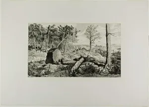 German Heritage Art Images Drucke: Simplicius in the Solitude of the Forest