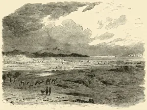 Anatolia Landscape Drucke: The Site of Troy, 1890. Creator: Unknown