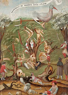 Der Skelettwald, 1641. Schöpfer unbekannt