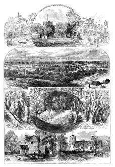 British Geographical Features Drucke: Sketches in Epping Forest, 1871. Creator: Unknown