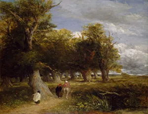 Die Röcke des Waldes, 1856. Schöpfer: David Cox der Ältere