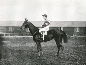 Black And White Horse Racing Images Drucke: Skyscraper, 1911. Creator: Unknown