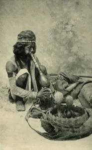 Snake Charmer. Creator: Unknown