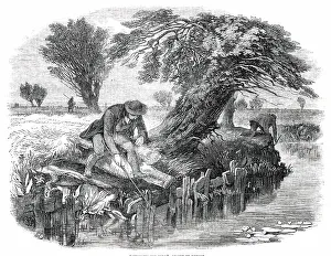 Victorian Era Leisure Activities Drucke: Sniggling for Eels - drawn by Duncan, 1850. Creator: M Jackson