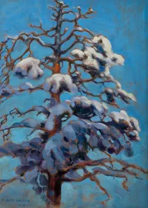 Schneidiger Tannenbaum, 1899