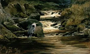 European Heritage Art Images Drucke: Solitude, c1879. Creator: Bryan Hook