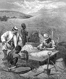 Colonialism In South Africa Drucke: At the sorting table in the Diamond Diggings, 1872. Creator: Unknown