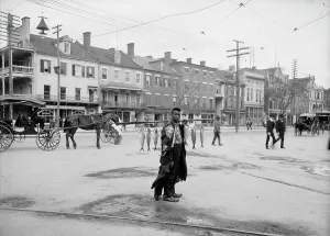 Augusta Georgia History Drucke: Southern fish vendor, c1903. Creator: Unknown