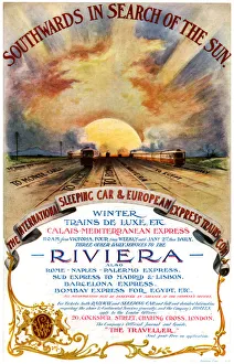 Südlich nach dem Sonnenlicht suchend, 1905 Kunstler: Bemrose