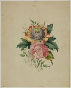 Antique Botanical Drawings Drucke: Spray of Flowers, n.d. Creator: Unknown
