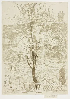 Astronomy In Art History Drucke: Spring, 1906. Creator: Theodore Roussel