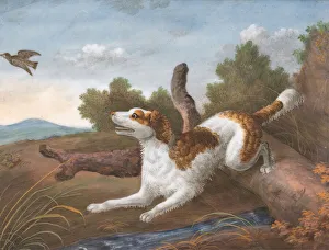 Nineteenth Century Animal Artwork Drucke: Springer: A Spaniel Bounding Over a Log to Spring a Snipe on the Left, ca. 1805