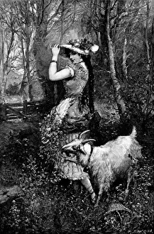 British Wildlife Art Drucke: 'Springtime' - after M. Bernard, 1890. Creator: Unknown