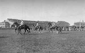 Ritter von St Leger Pferde vor dem Doncaster-Stand um 1900/03. Künstler: W.W.Rouch