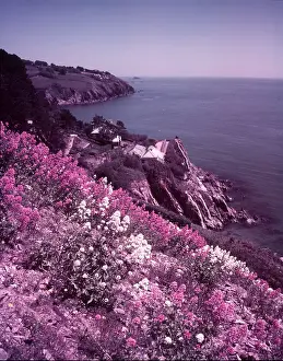 Arthur Charles Kirby Ware Photos Drucke: Start Bay, Devon, c1955. Creator: Arthur Charles Kirby Ware