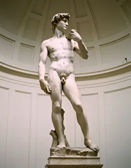 Drucke von Die Statue des David im Galleria dell'Accademia zu Florenz, Italien. Eines der größten Meisterwerke Michelangelos ist seine Skulptur von David aus dem Jahr 1504 Michelangelo Buonarroti Drucke: Büste des David im Galleria dell'Accademia in Florenz Italien